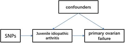 Juvenile idiopathic arthritis and primary ovarian failure: a two-sample Mendelian randomization analysis in a mixed-gender cohort